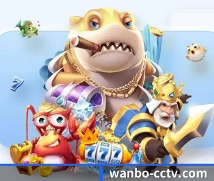 万博娱乐的成长历程与未来展望 - 体育资讯内容服务